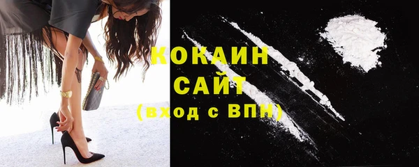 шишки Алзамай