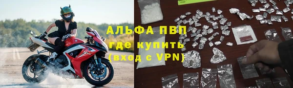 крисы Алексин