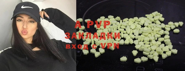 крисы Алексин