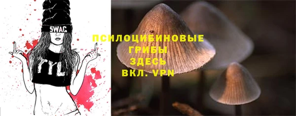 бошки Алексеевка