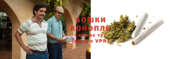 ГАЛЛЮЦИНОГЕННЫЕ ГРИБЫ Абаза