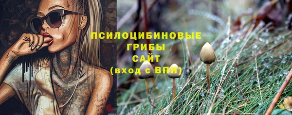 дмт Абдулино