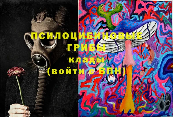 шишки Алзамай