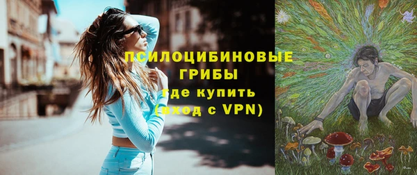 ГАЛЛЮЦИНОГЕННЫЕ ГРИБЫ Абаза