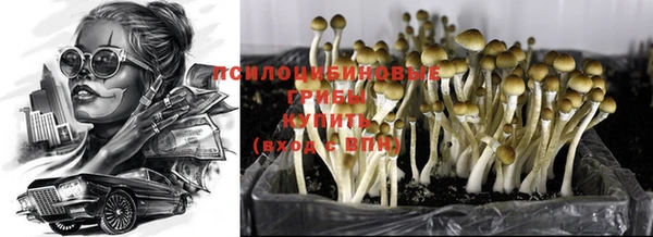 дмт Абдулино