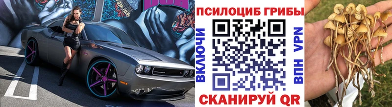 Псилоцибиновые грибы Psilocybine cubensis  Волоколамск 